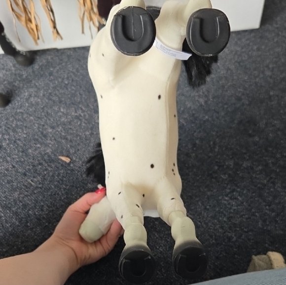 American Girl Foal - Picture 3 of 6